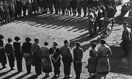 Scenes from Gut Winkel
Photographer: Roman Vishniac
Source: Schocken Family Archive