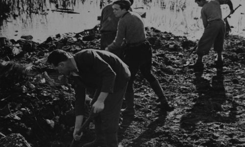 Scenes from Gut Winkel
Photographer: Roman Vishniac
Source: Schocken Family Archive