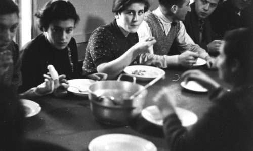 Scenes from Gut Winkel
Photographer: Roman Vishniac
Source: Schocken Family Archive