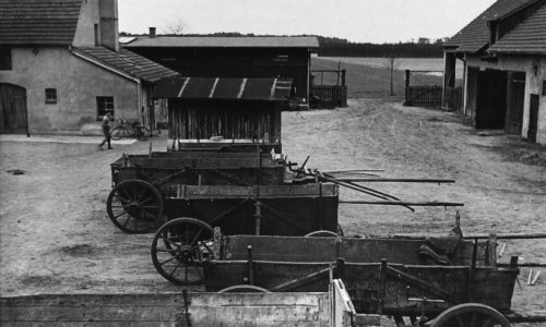 Scenes from Gut Winkel
Photographer: Roman Vishniac
Source: Schocken Family Archive