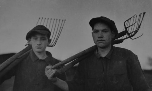 Scenes from Gut Winkel
Photographer: Roman Vishniac
Source: Schocken Family Archive